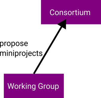 Working groups propose miniprojects